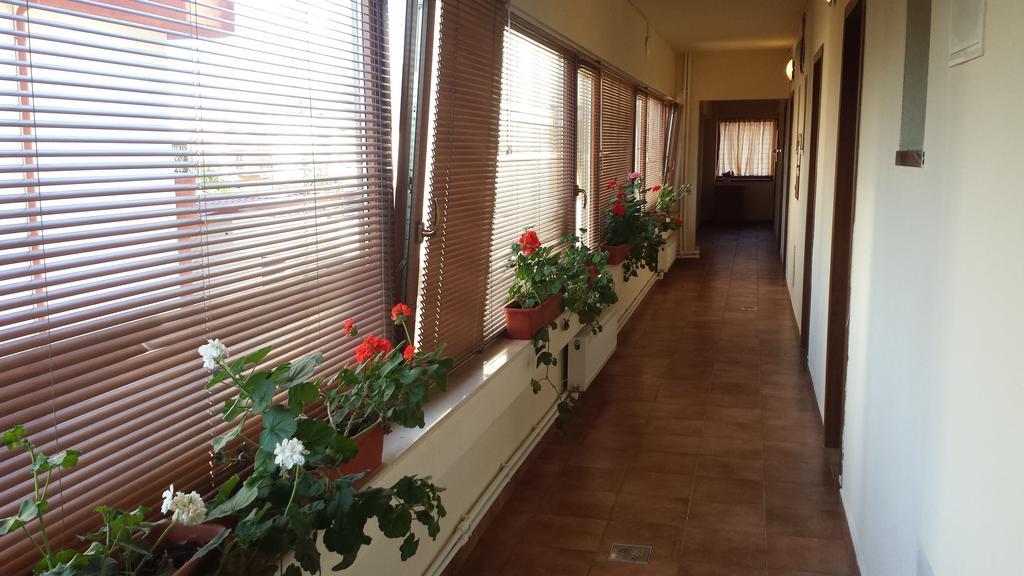 Hostel Nova Route Năvodari Buitenkant foto